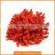 Home decoration poly resin red coral for sale