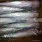 BQF grey mullet whole round ,1000+g Mugil Cephalus
