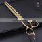 Gloden Hair Thinning Scissors Hair Shears Hairdressing