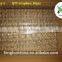 2015 bird spikes stainless steel China first hand factory