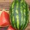 Middle maturity good disease resistance hybrid f1 watermelon seeds for planting