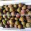 Automatic lemon / cactus / pomegranate passion fruit seeds separator machine