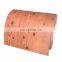 Factory Direct Sales Aisi Ppgi Color Coated Galvanized Steel With Polymer Coating Prices