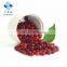 New Crop Wild 95 % red color  IQF Frozen Lingonberries