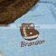 Baby Boy Blanket Personalized Minky Blanket