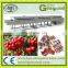 Fruit leather processing line fruit leather production line fruit puree spreading scrapper and cutter