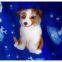Discount Heave Weight Sports Flannel Fabric China On Sale