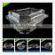 blister disposable plastic blueberry fruit packaging container