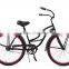 Single Speed Coaster Brake Beach Cruiser Bike