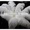 Boardwalk Professional Ostrich Feather Duster