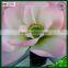 lotus artificial flowers waterproof flower