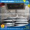 Frigate Tuna factory price, longline fishing Tuna, Japanese Soda fish whole round