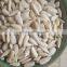 sunflower seeds kernels for birds