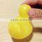 baby plastic bath duck