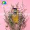 Nice Service Custom Labeling Natural Oil Shower Gel with Nice Container