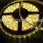 DC24V Waterproof LED Strip lighting accessories connectors smd 3528 60leds uv LED strips lights