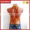 K-75 Ladies halter crochet tassel bikini of hollow design sexy bikini top women knti beach tank top