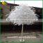 Decorative tree artificial white banyan tree