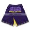 custom design boxing shorts, shorts mma, mma fight shorts