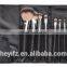 2016 Wooden Handle Pink Travelling 10PCS Lightning Pattern Makeup Brush Set