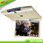USB SD HDMI 15 inch lcd Wide-view roof monitor guangzhou