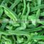 IQF Frozen green papper sliced with good quality