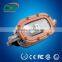 ip68 stainless steel housing 3000 lumens 30w corrosion proof lighting