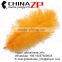 ZPDECOR No.1 Supplier in China Factory Exporting Wholesale from 10'' to 12'' Orange Ostrich Feathers