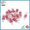 High quality mini plastic cheap check valve price