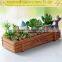 Succulent Plants crates,Graft Cactus planter,Wooden Plant crates