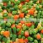 Frozen Mix Vegetables ( Beans - Peas - Carrots - Broccoli- Okra - Molokai - Spanish - French fries ...)