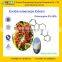 GMP Manufacturer Supply Natural 5%-98% Evodiamine