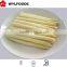 china GOOG quality frozen asparagus whole or cut