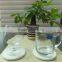coaster in diatomite & vermiculite
