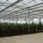 Poly Carbonate Panels Vegetable Greenhouse