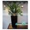 large ourdoor plastic planters with self watering system