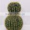 SJ300930 Artificial Mexico Cactus ball For Garden Decororation
