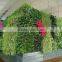 EST 10015 faux plant long grass wall coloured artificial green wall setting