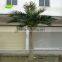 Tree outdoor decorative artificial tree palm tree for Park Landscaping Decking APM017-2 GNW 15ft High