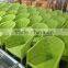 nature corners green leisure arm chair