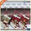 2016 christmas novelty deer christmas stockings from china supplier