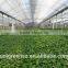 Commercial Industrial Agriculture Multi Wide for Sale