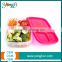 Practical Various Colorful Plastic Lunch Box/Food Container