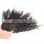 Thick Ends High Quality Wholesale Indian Hair, Double Drawn No Shed Virgin Indian Curly Hair