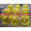 Excavator Hydraulic Components