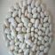 New Crops Small White Kidney Beans with Good Quality