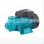 220v 50hz 0.75hp cast Iron QB peripheral domestic water pump