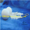 Sell 0.5mm to 38mm Zirconia Oxide Ceramic Ball
