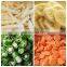 Food standard vegetable cutter automatic cutting machine for dry red chilli YQC1000