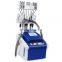 Non Invasive Fat Freeze Freezing Fat Melting Body Shape Machine With Laser Pads